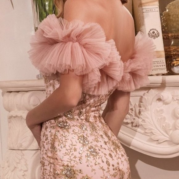 NEW FLOOR LENGTH OFF THE SHOULDER SLEEVELESS TULLE GOWN WITH ZIPPER BACK CD J818 - Picture 8 of 9